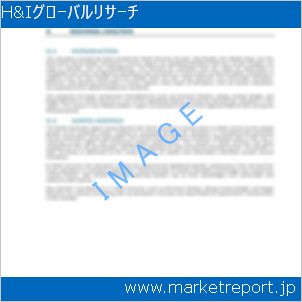 市場と産業調査レポートのイメージ